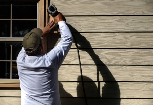 Best Insulated Siding Installation  in Lake Forest, IL