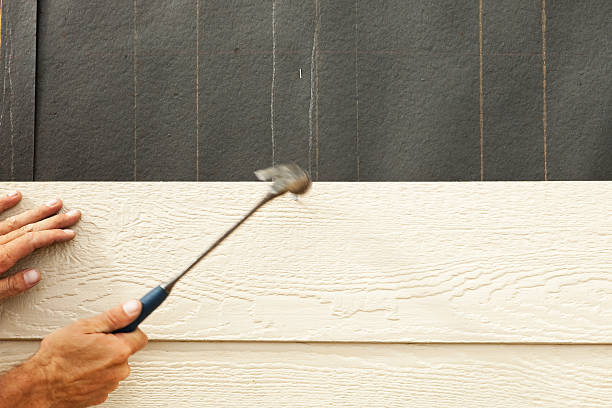 Best Fascia and Soffit Installation  in Lake Forest, IL